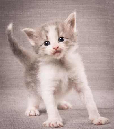 20140209_W-kull_27_days_0080