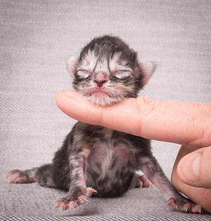 20140113_W-kull_Newborn_0009