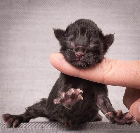 20140113_W-kull_Newborn_0023