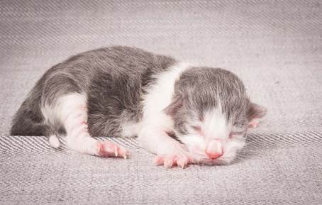 20140113_W-kull_Newborn_0056