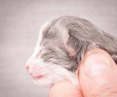 20140113_W-kull_Newborn_0079