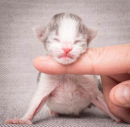 20140113_W-kull_Newborn_0076