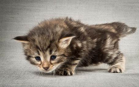 20140409_Y-kull_22_days_0009