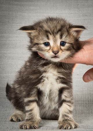 20140409_Y-kull_22_days_0005