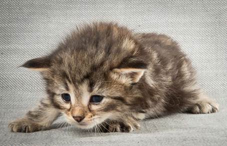 20140409_Y-kull_22_days_0003