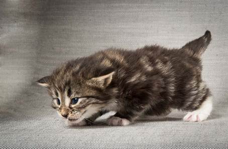 20140409_Y-kull_22_days_0020-Edit