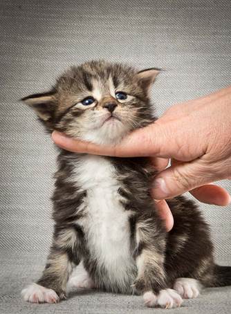 20140409_Y-kull_22_days_0015