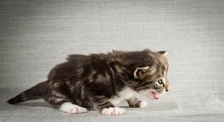 20140409_Y-kull_22_days_0021