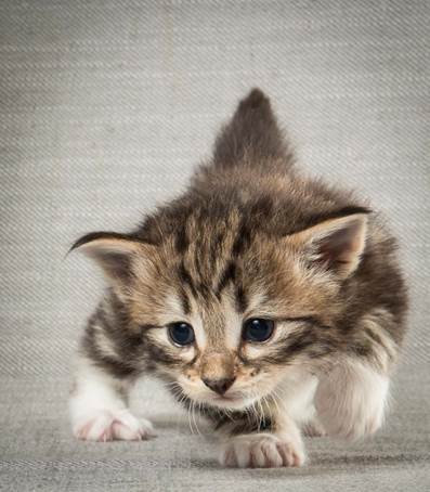 20140409_Y-kull_22_days_0039