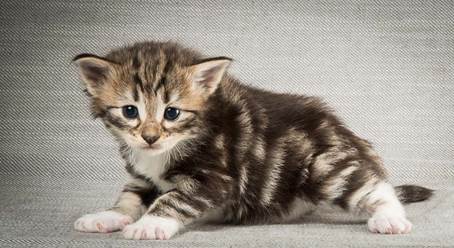 20140409_Y-kull_22_days_0035