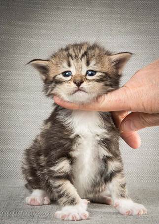 20140409_Y-kull_22_days_0026