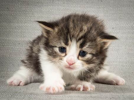 20140409_Y-kull_22_days_0043