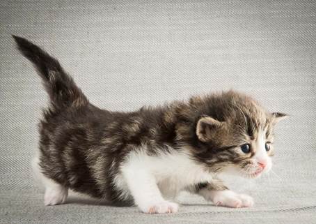 20140409_Y-kull_22_days_0050