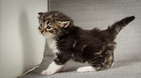 20140409_Y-kull_22_days_0057