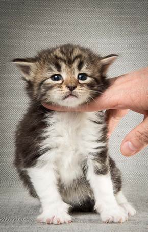 20140409_Y-kull_22_days_0053