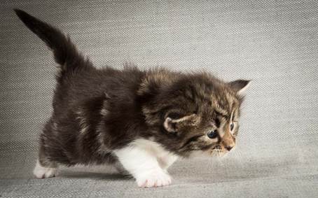 20140409_Y-kull_22_days_0059