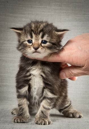 20140409_Y-kull_22_days_0063