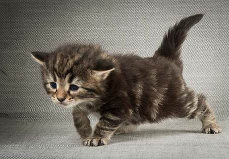 20140409_Y-kull_22_days_0071