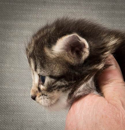 20140409_Y-kull_22_days_0079