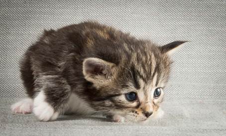 20140409_Y-kull_22_days_0074