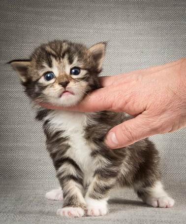 20140409_Y-kull_22_days_0086