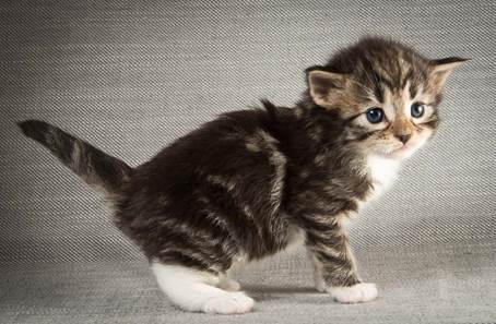 20140409_Y-kull_22_days_0092