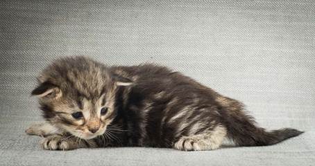 20140401_Y-kull_2_weeks_0008