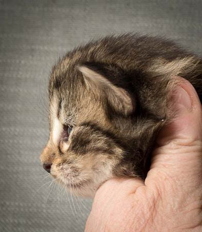 20140401_Y-kull_2_weeks_0007