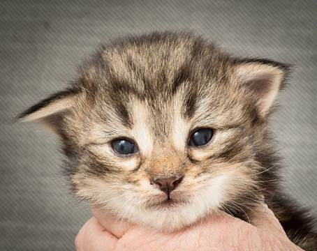 20140401_Y-kull_2_weeks_0006