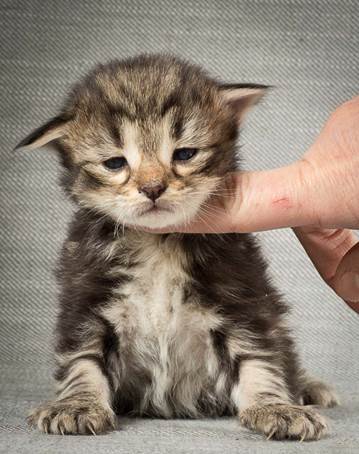 20140401_Y-kull_2_weeks_0005