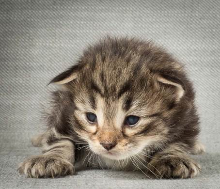 20140401_Y-kull_2_weeks_0003