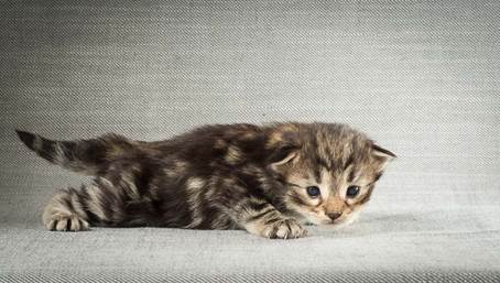 20140401_Y-kull_2_weeks_0009