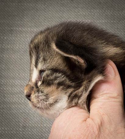 20140401_Y-kull_2_weeks_0016