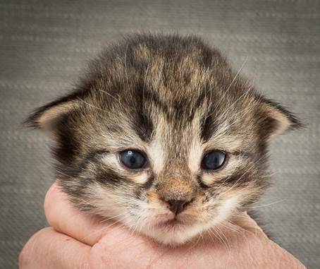 20140401_Y-kull_2_weeks_0015