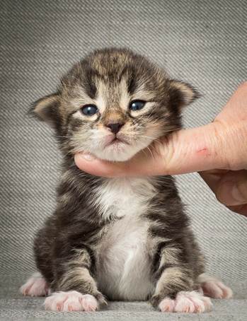 20140401_Y-kull_2_weeks_0014