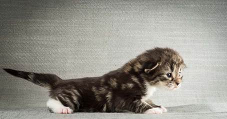 20140401_Y-kull_2_weeks_0019