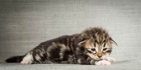 20140401_Y-kull_2_weeks_0031