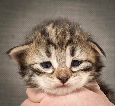 20140401_Y-kull_2_weeks_0027