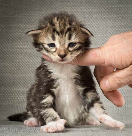 20140401_Y-kull_2_weeks_0024