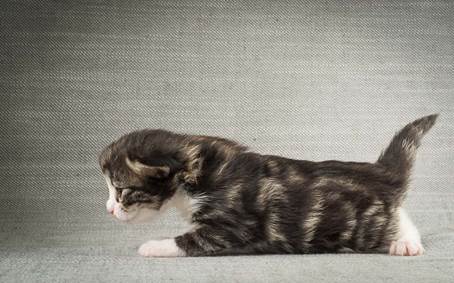 20140401_Y-kull_2_weeks_0044