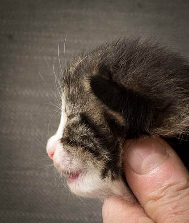 20140401_Y-kull_2_weeks_0043