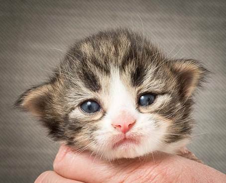 20140401_Y-kull_2_weeks_0040