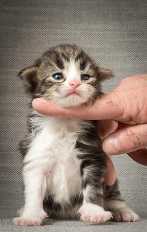 20140401_Y-kull_2_weeks_0039