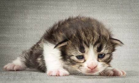 20140401_Y-kull_2_weeks_0037