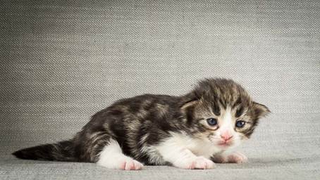 20140401_Y-kull_2_weeks_0046