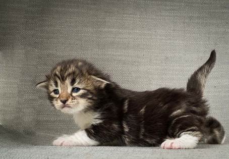 20140401_Y-kull_2_weeks_0053