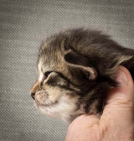 20140401_Y-kull_2_weeks_0052