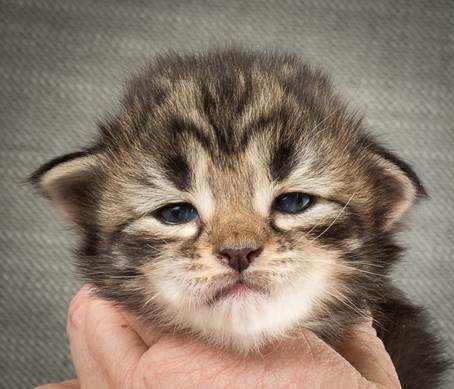 20140401_Y-kull_2_weeks_0051