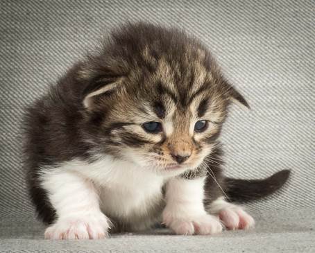 20140401_Y-kull_2_weeks_0049