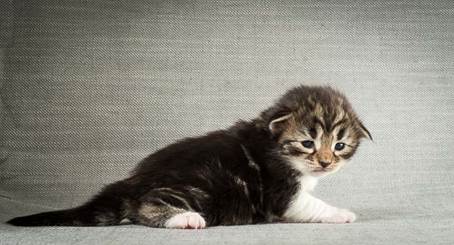 20140401_Y-kull_2_weeks_0054